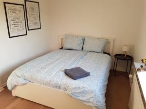 Central Apartment Billund - 500 m from LegoHouse