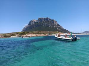 Villa Vista Tavolara