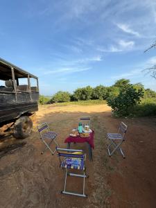 Jungle Lodge