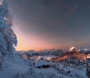 Koča Velika Planina - Chalet Kamrica