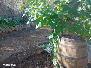 Holiday Home El pajal House Relax by Interhome