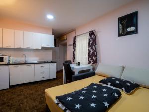 Apartment Studio-Apartment Studio apartman 3 by Interhome