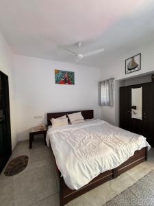 Estudio 007, Palolem