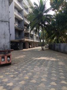 Estudio 007, Palolem