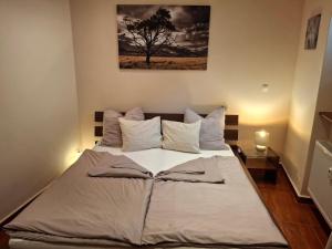 Apartment Oasis in the Old Town