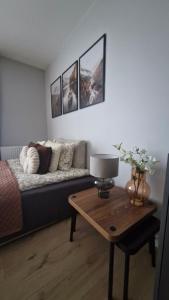 Elite Home 7a Jeżyce - Barańczaka