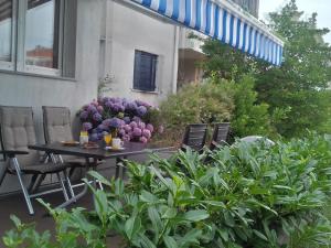 Apartment Apartment Gortanova in Stoja mit Privater Terrasse by Interhome