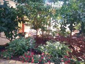 Apartment Traumurlaub in einer Villa in Strandnähe by Interhome