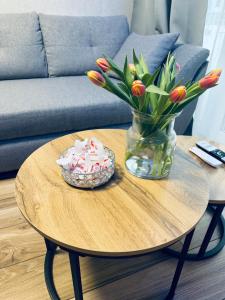 Mostique Spa Apartment with Jacuzzi