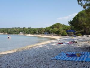 Apartment Vrancić3 by Interhome