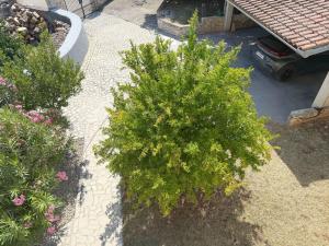 Apartment LacoDeLama mini resort - Wohnung Pina mit Pool by Interhome