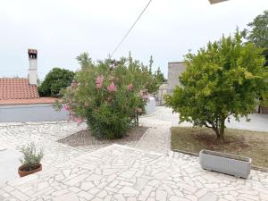 Apartment LacoDeLama mini resort - Wohnung Marta mit Pool by Interhome