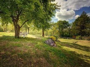 Holiday Home Romantische Villa mit weitläufigem Garten by Interhome