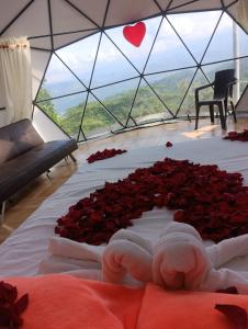 GLAMPING DOMO VILLETA