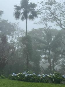Farm in the Teresópolis Mountains - Dedo de Deus