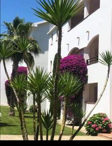 Appartement en bord de mer