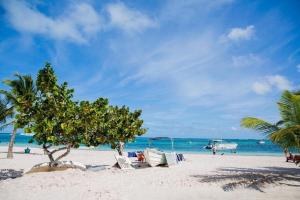 STEPS TO THE BEACH 2 Stunning condo 4 min walk to Bibijagua Beach and Catamarans