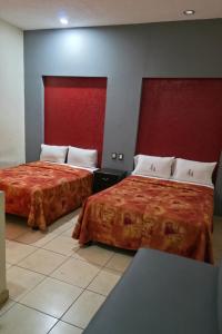 J Alejandro - Centro Histórico Guadalajara