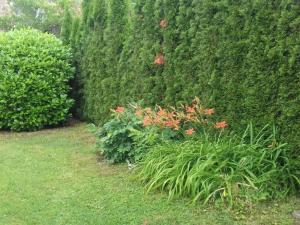 Holiday Home Klimatisiertes Ferienhaus in Bükfürdö mit Garten by Interhome