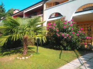 Apartment FeWo C-30 by Interhome