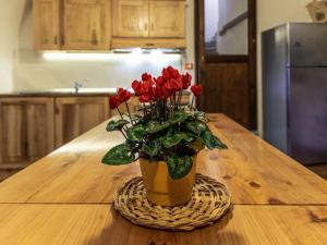 Apartment Historisches Haus mit Seeblick by Interhome