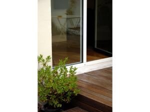 Domus 5