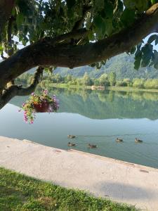 Vikendica Vuk 1 Zvorničko jezero