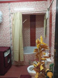 perfect abbass el akkad flat with balcony