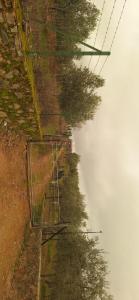 Villa Tara Los Arcos