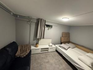 Newly renovated apartment