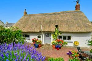Thatched Cottage on Northumberland border