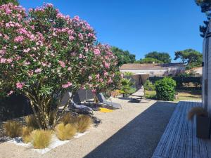 Casa Marcel déco sympa au calme dans la pinède