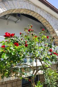 Apartment Zeljka4 mit gemeinschaftlichem Pool by Interhome