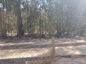 Townhouse el Totoral