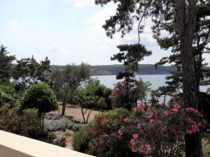 Apartment Apartment Zeljka by Interhome