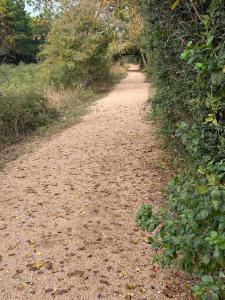 Bay Trails Family Retreat