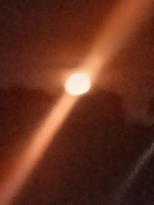 Nuestro Colibrí Cabaña Costa Azul