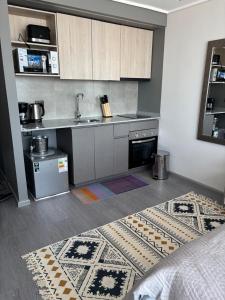 Departamento a pasos de Movistar Arena y Parque Ohiggins