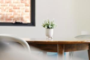 Stylish Apartment in Erskineville