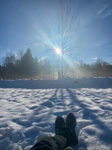 Domek Betula Izerska