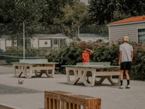 Mobil Home avec Terrasse à Pénestin - API-1-52-1403