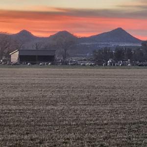 The Elevated Retreat