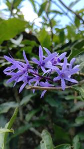 Casa estilo Caiçara