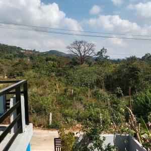 Coorg Madhu,s home stay