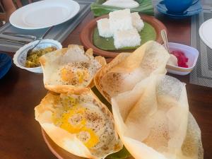 Elegant Nature Lodge