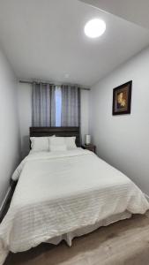 Bright & Cozy 2BR Suite Near WEM