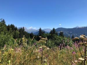 Full nature, 4 people, Saint-Gervais, Chamonix