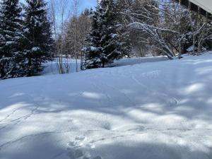 Full nature, 4 people, Saint-Gervais, Chamonix