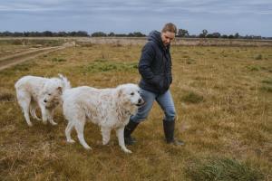 Organic Farm Stay by Tiny Away