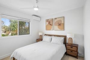 Thirty-Nine Albatross (Apartment 5)